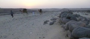 from www.outofeden.com