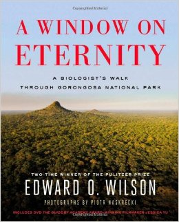 A Window on Eternity